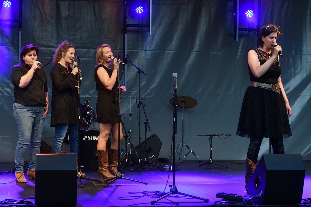 Country Up! door The VocalS