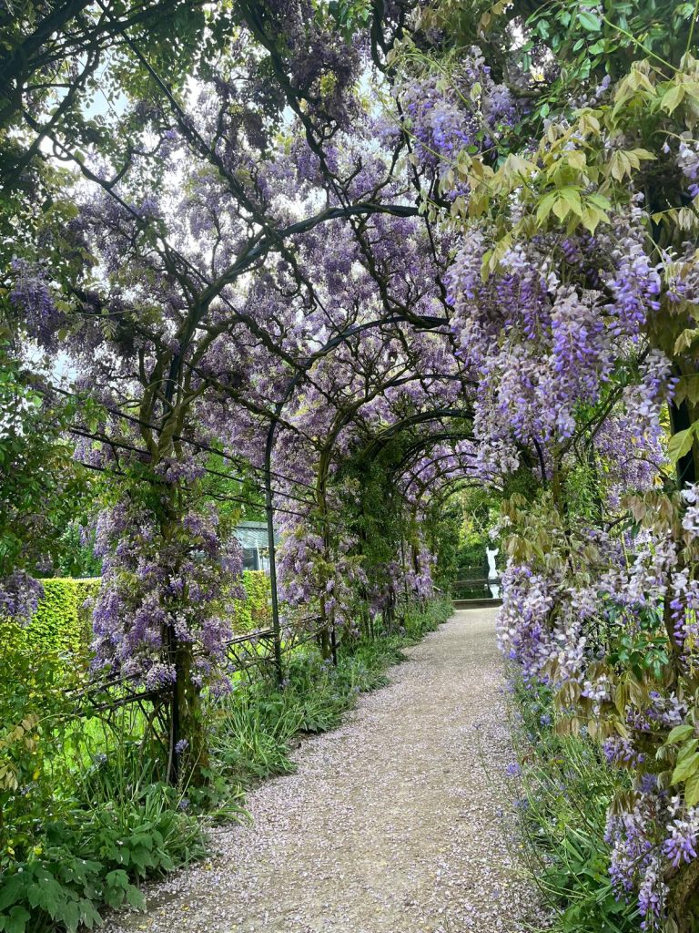 Bloeiende tuin in Tuinen de Lage Oorsprong
